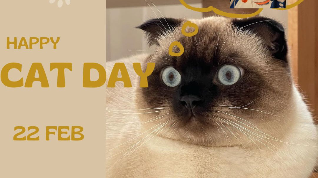 2月22日は猫の日だ“にゃん”!おすすめの猫アイテムをご紹介