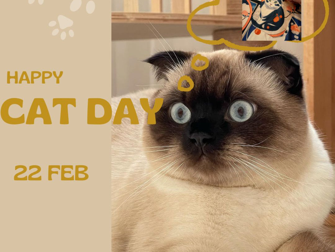 2月22日は猫の日だ“にゃん”!おすすめの猫アイテムをご紹介