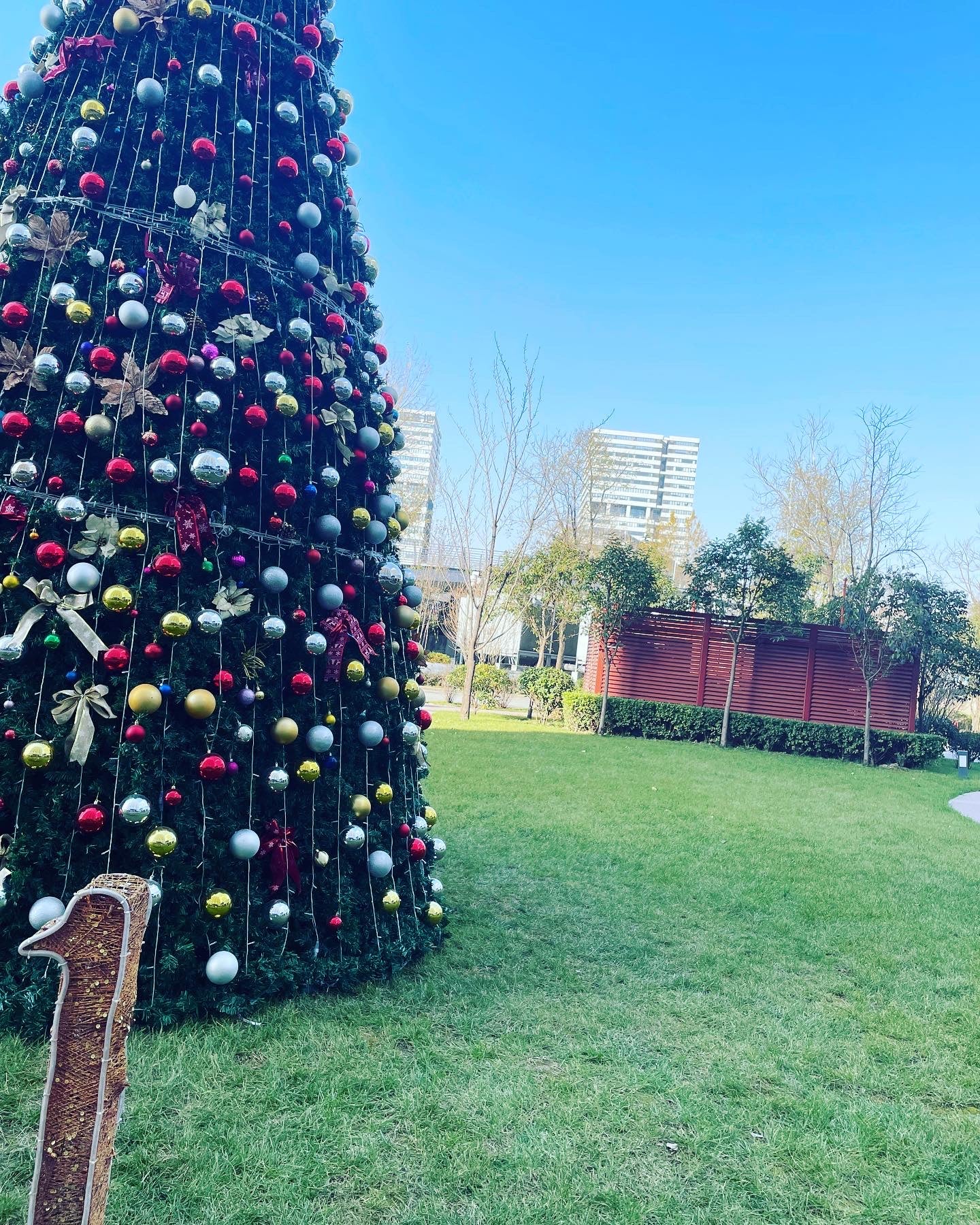 カッコイイ！遠藤の気になるカーゴパンツ～