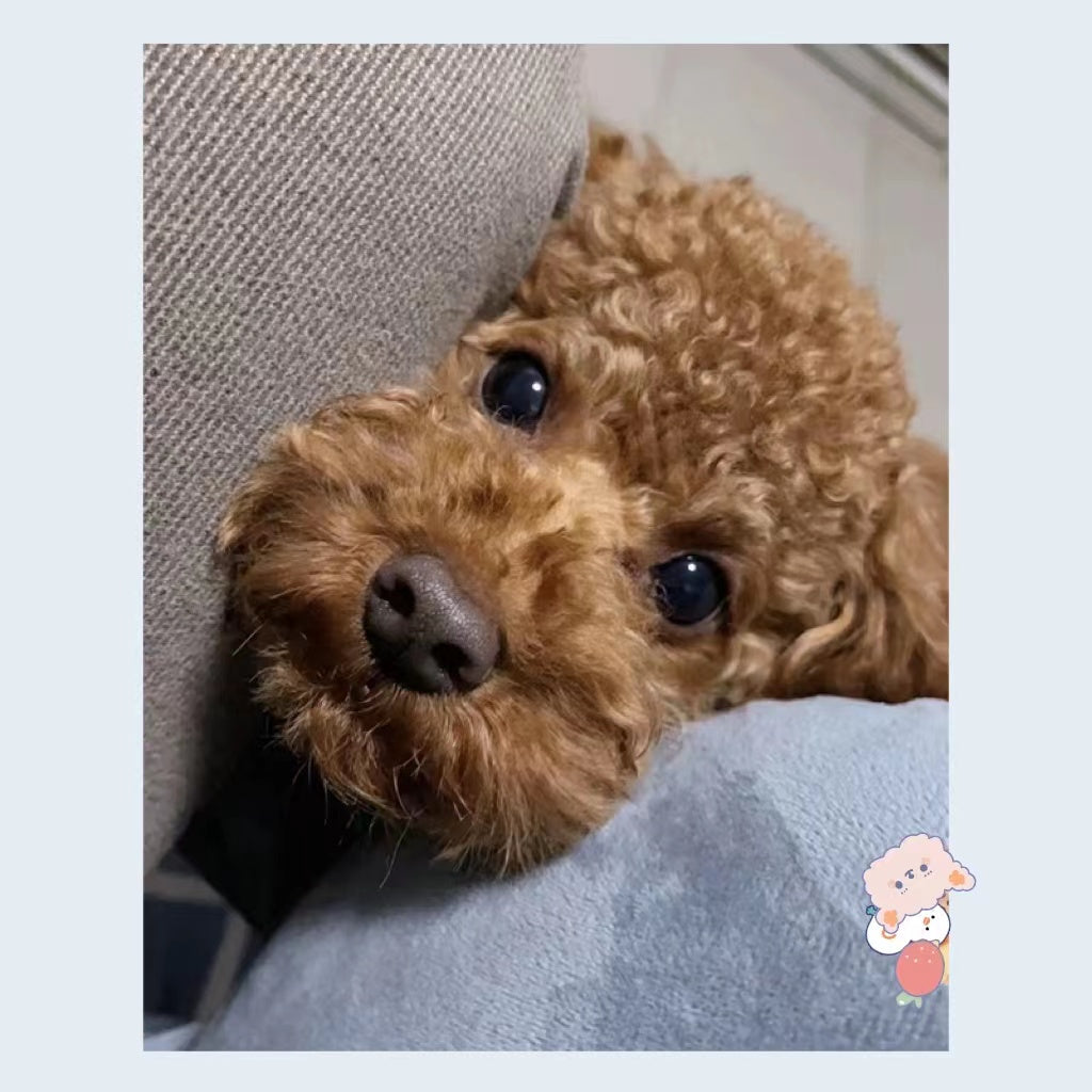 おすすめカーゴパンツの４種類！