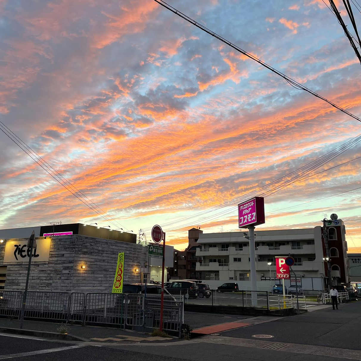 ブリティッシュウール混ベスト