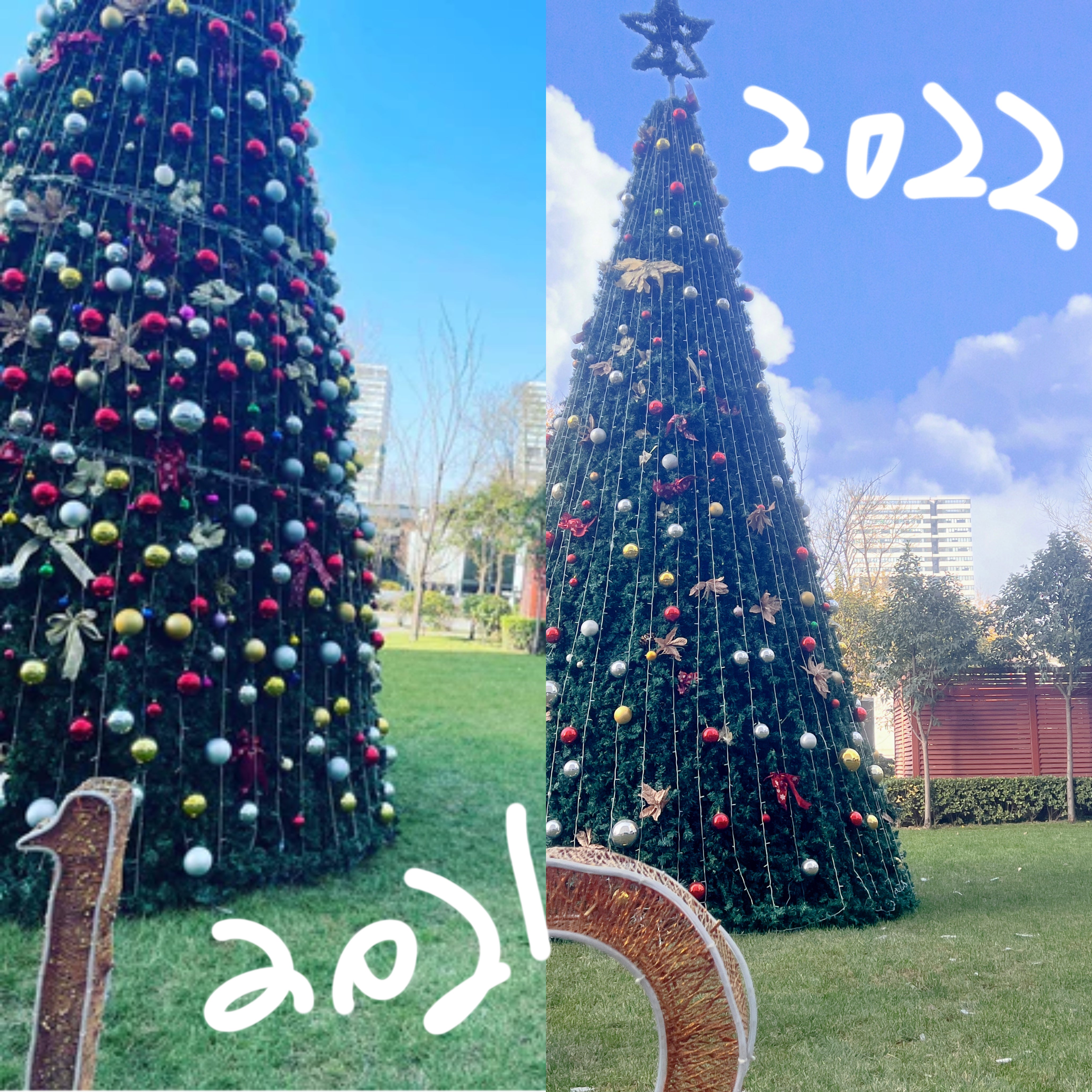 クリスマスムードで♡「手袋編」をご紹介♡